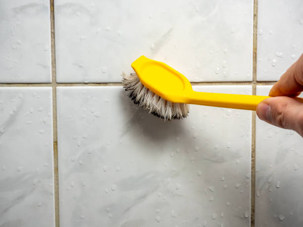 Best Same-Day Mold Removal  in Goshen, IN