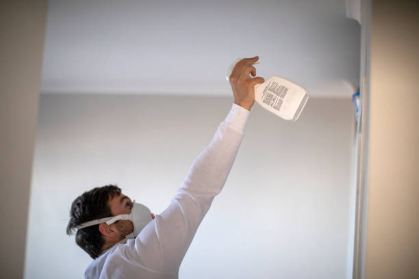 Mold Removal Process in Goshen, IN
