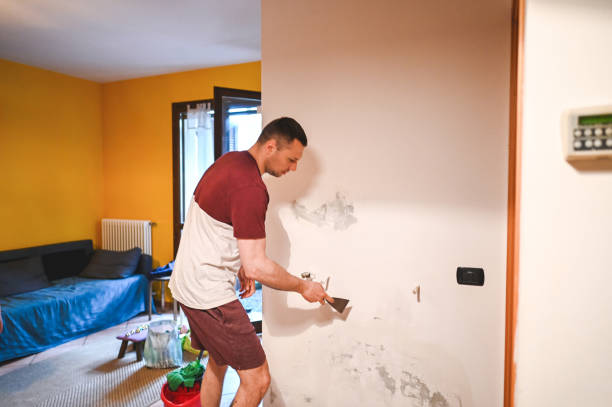 Best Residential Mold Removal  in Goshen, IN